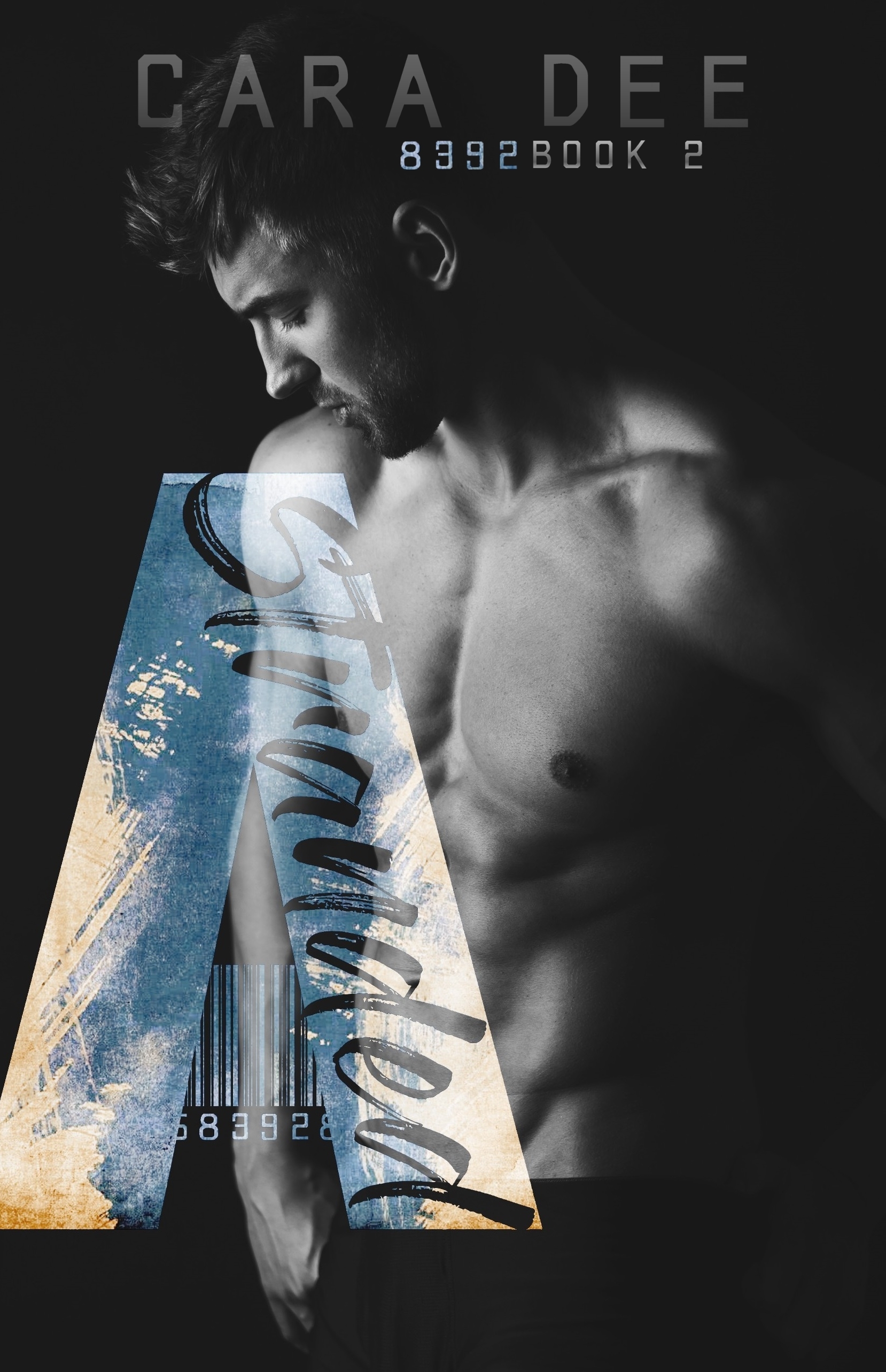 Auctioned book cover 2