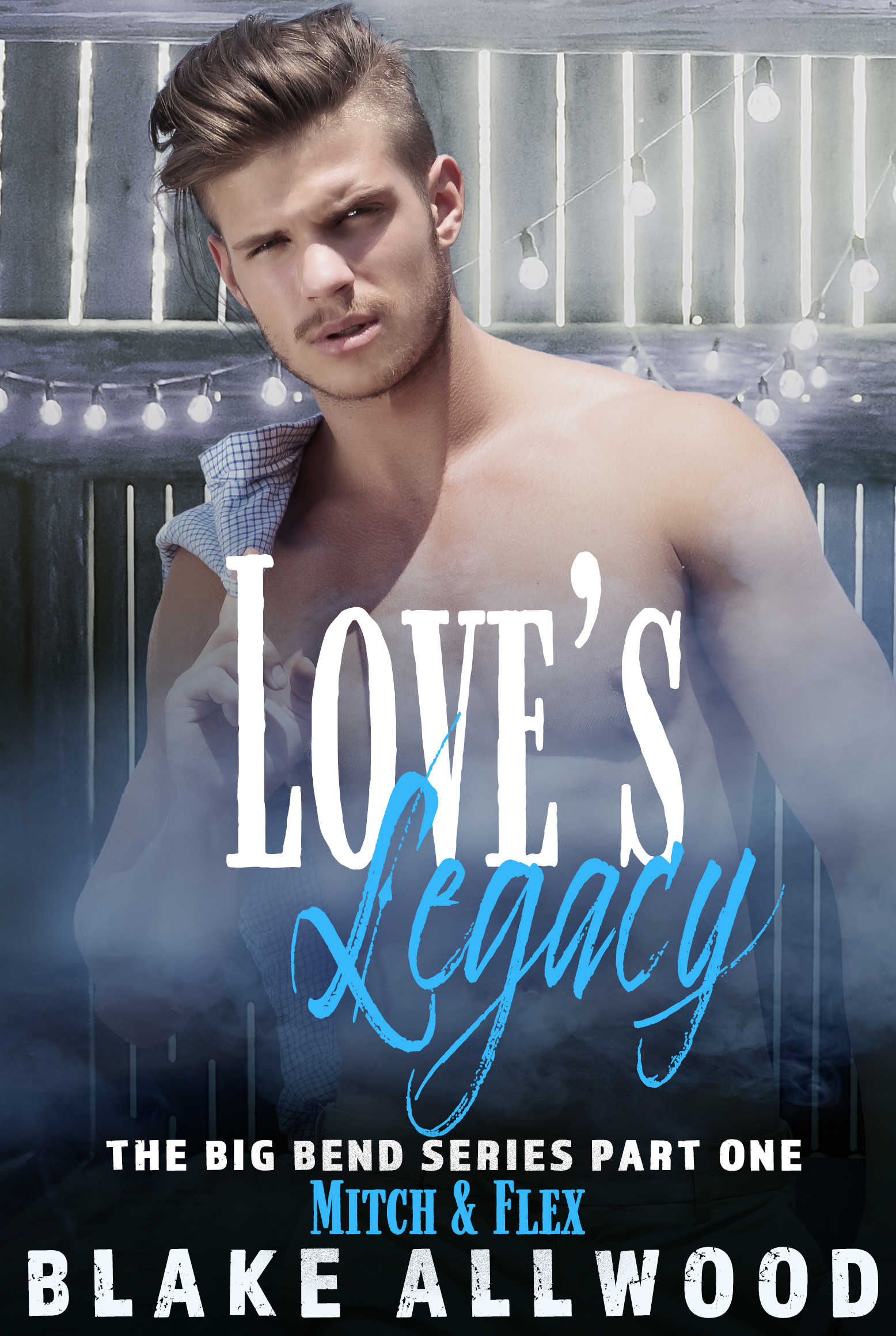 Love's Legacy book cover