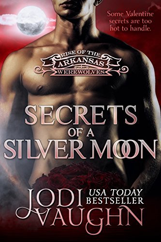 Secrets of a Silver Moon book cover