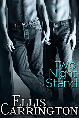 Two Night Stand book cover