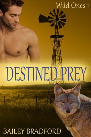 Wild Ones book cover 1