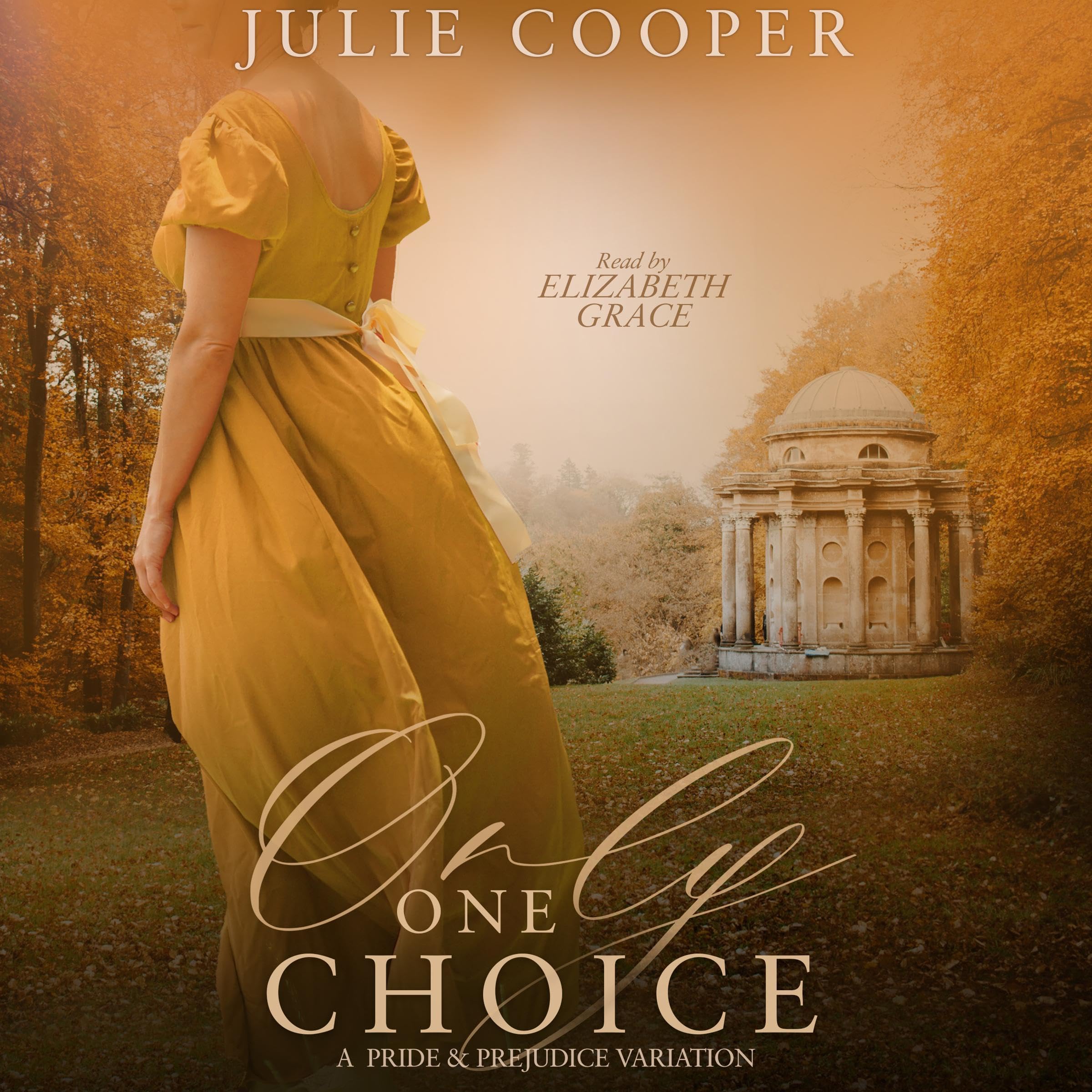Only One Choice book cover