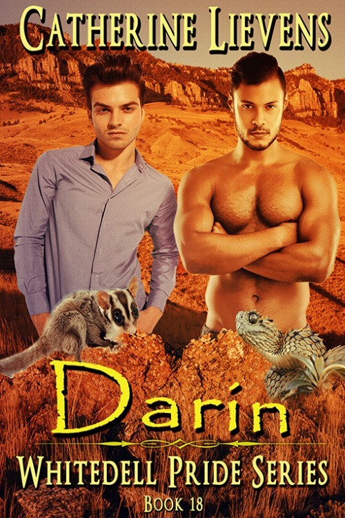 Darin book cover
