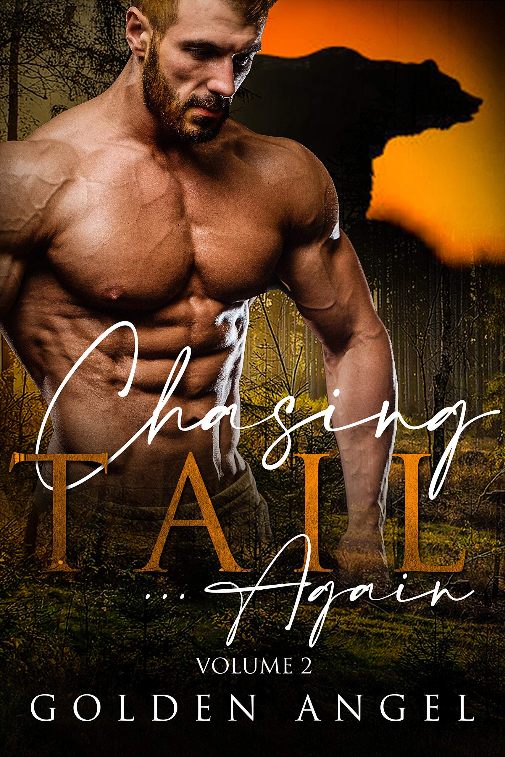 Chasing Tail book cover 2