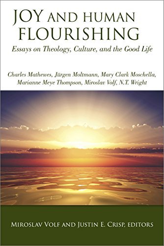 Joy and Human Flourishing book cover