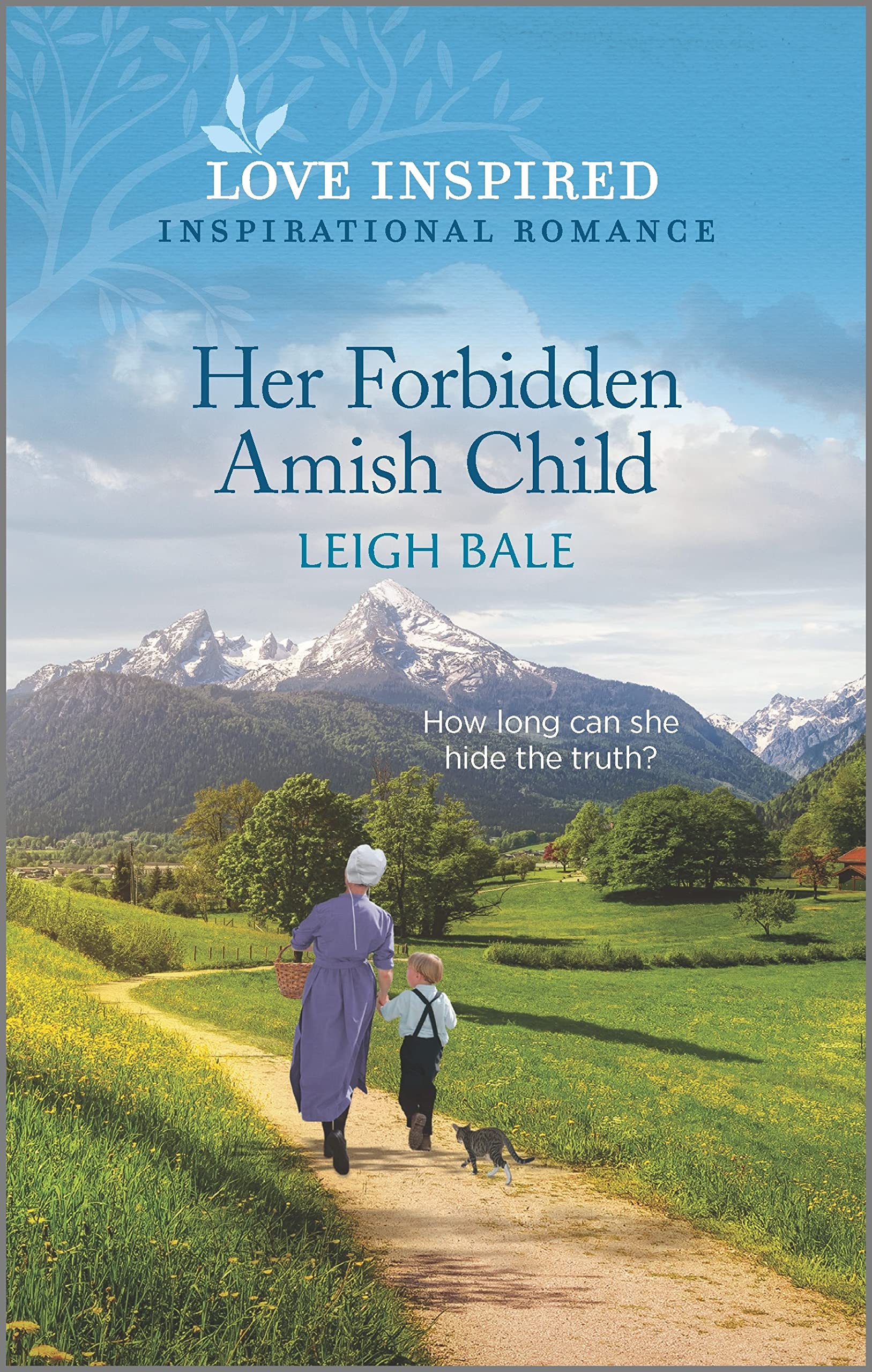 Secret Amish Babies book cover 2