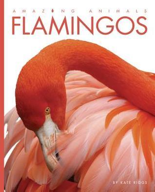Flamingos book cover