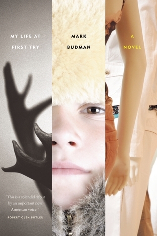 My Life at First Try book cover