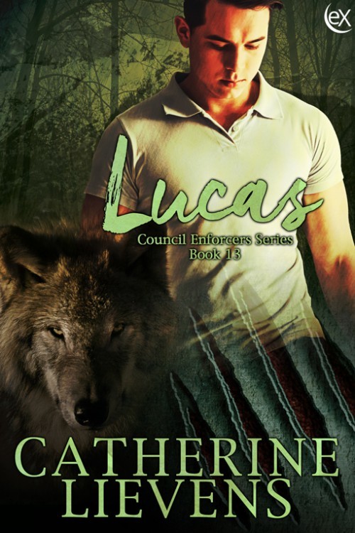 Lucas book cover