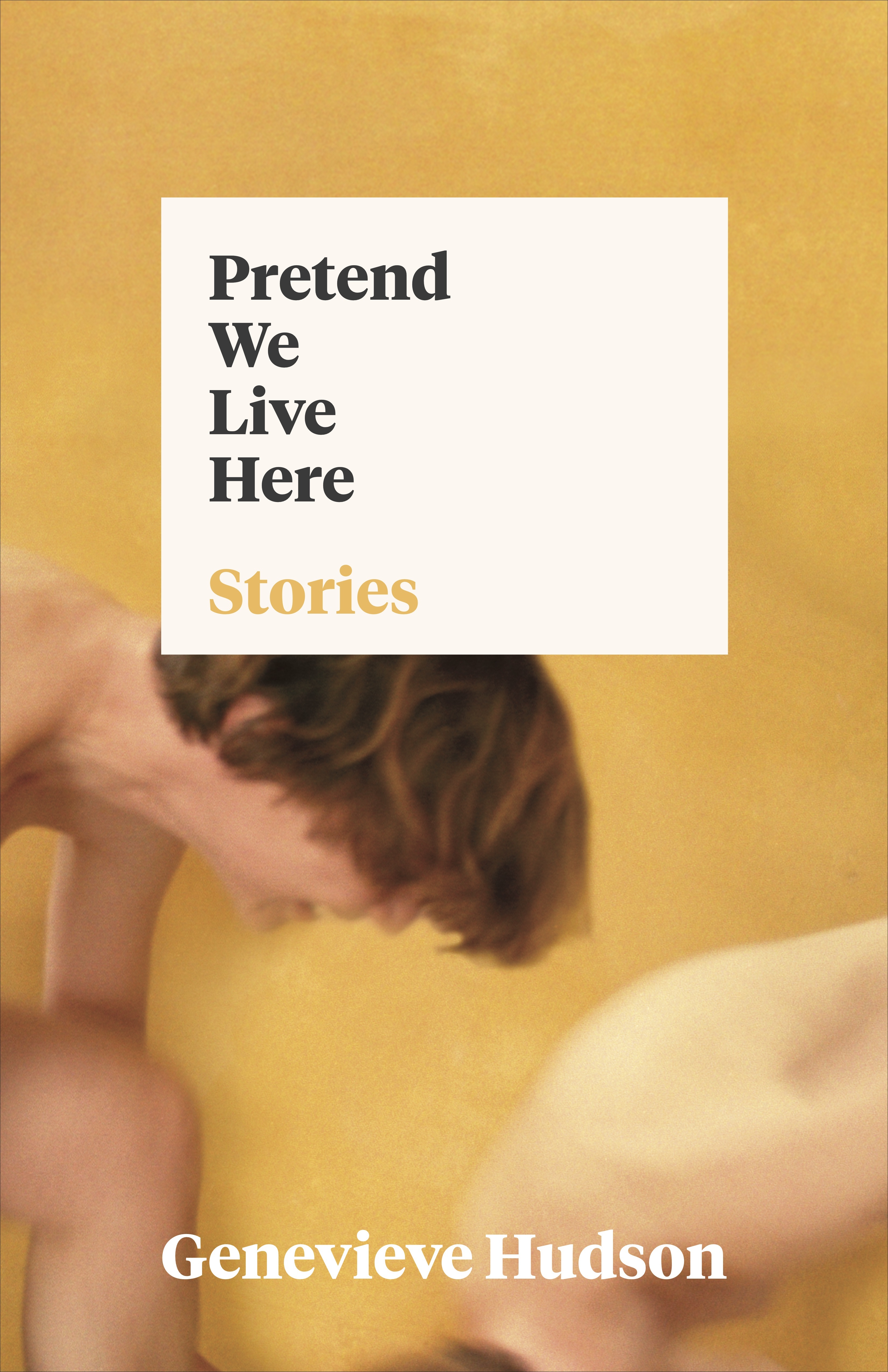 Pretend We Live Here book cover