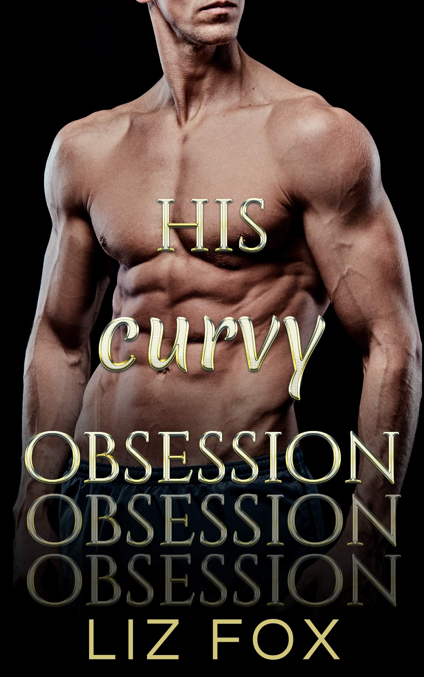 His Curvy Obsession book cover