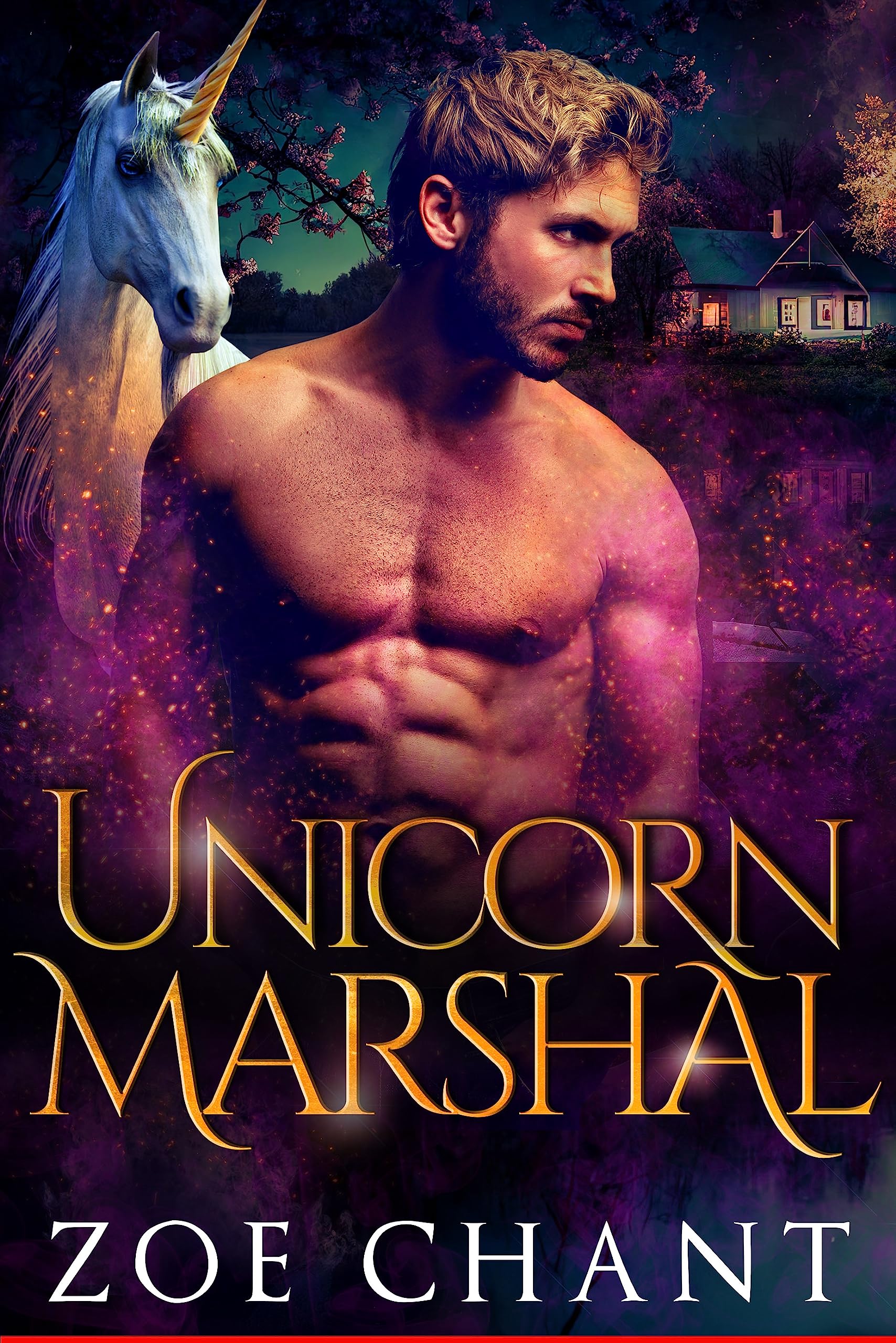 Unicorn Marshal book cover