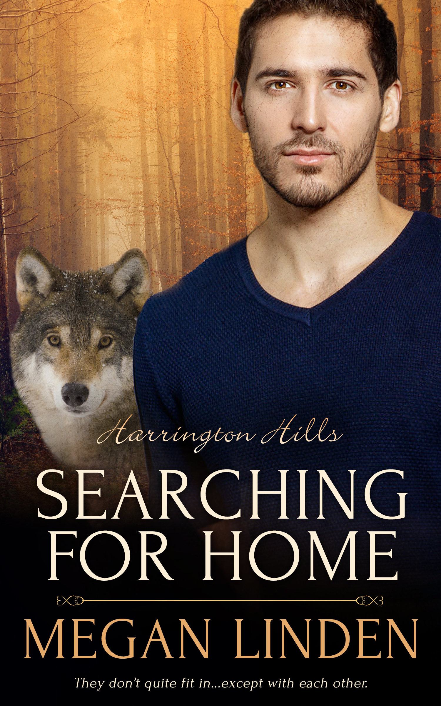 Searching for Home book cover