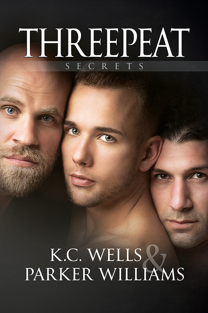Secrets book cover 3