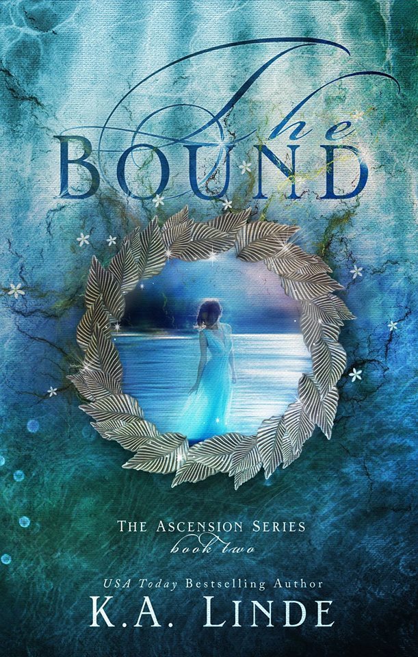 Ascension book cover 2