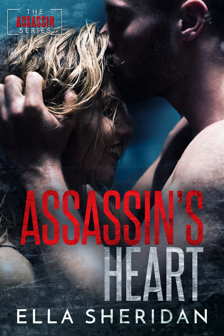 Assassins book cover 3