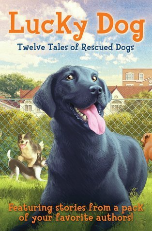 Lucky Dog book cover