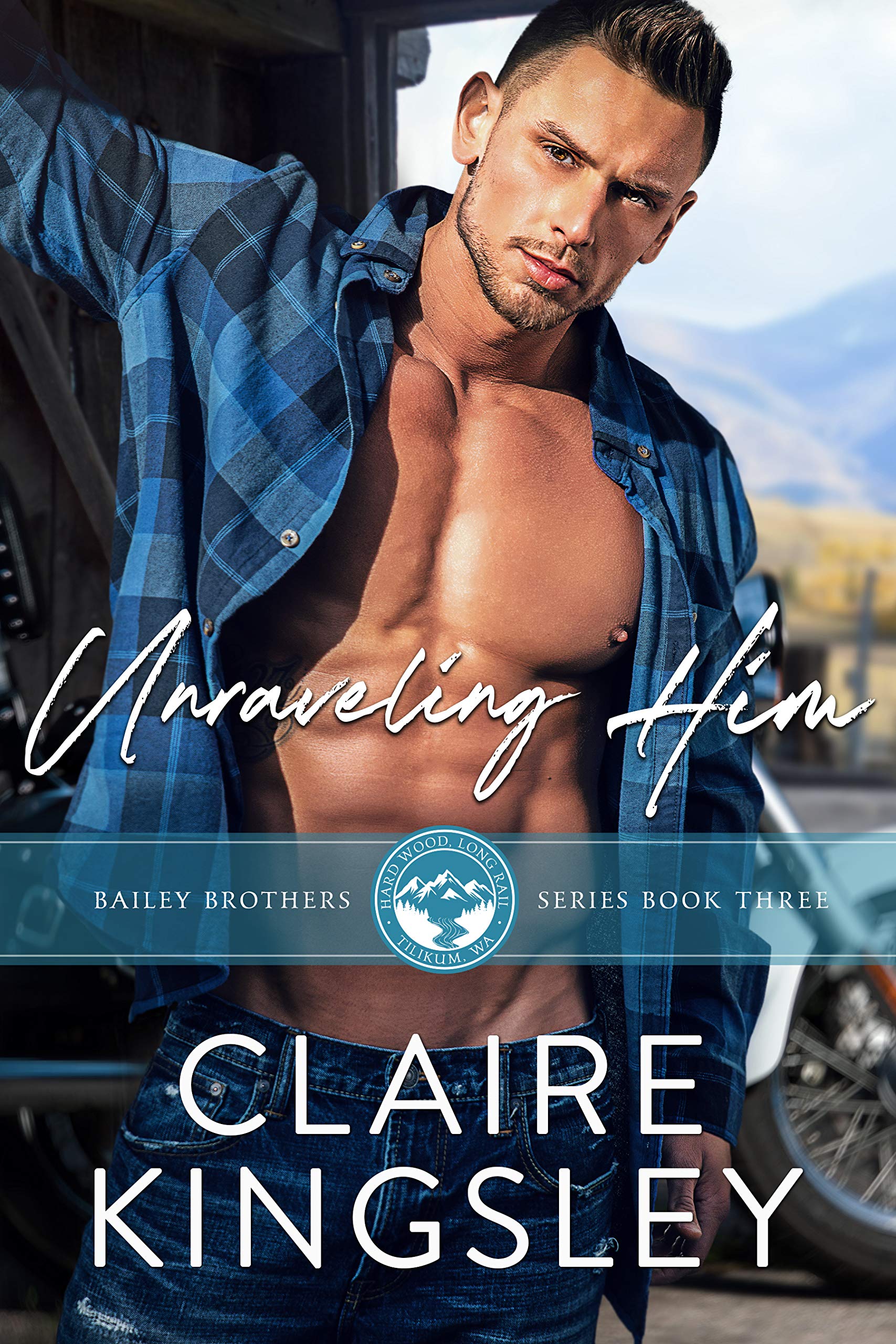 Bailey Brothers book cover 3