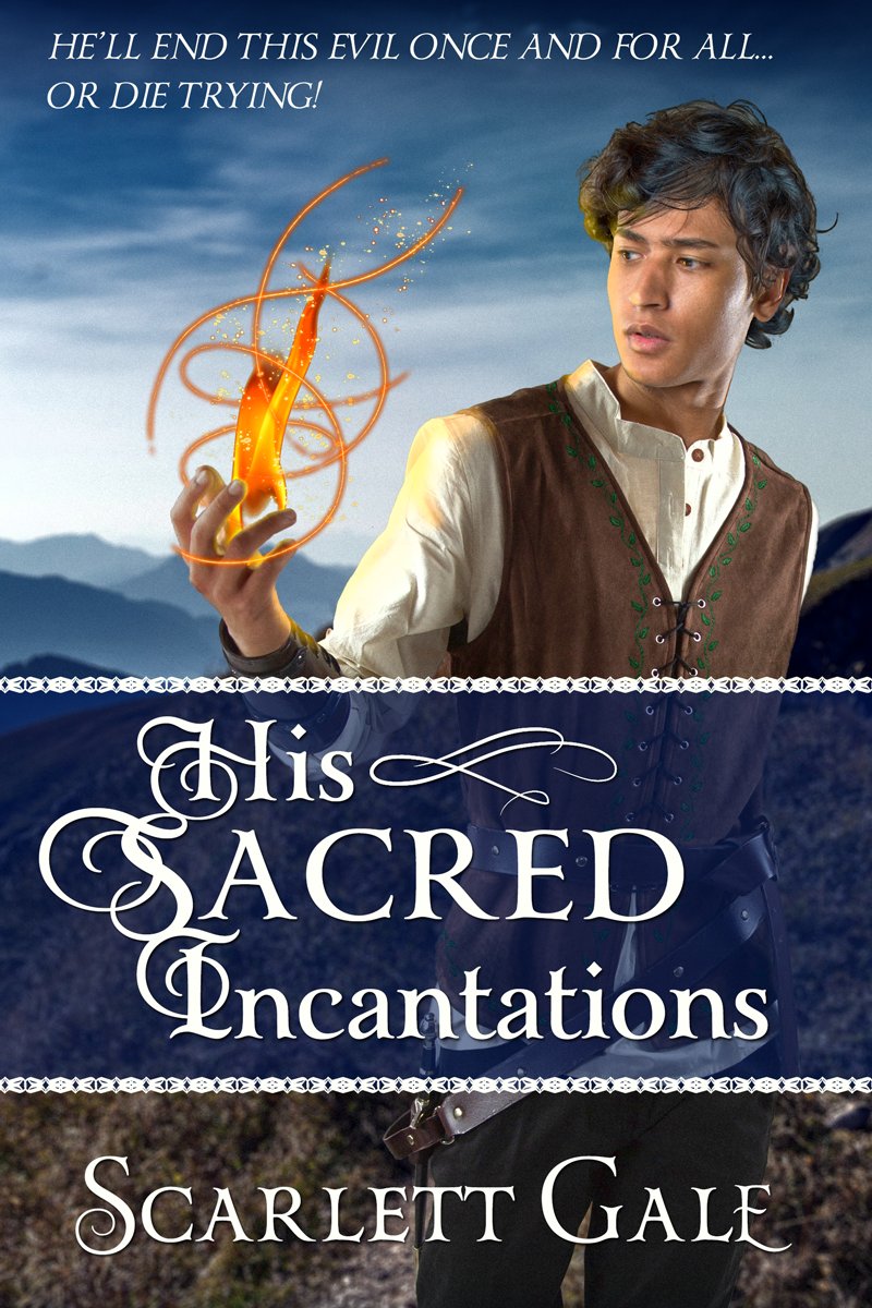 The Warrior's Guild book cover 2