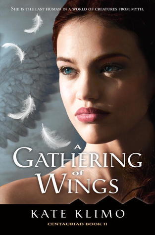 A Gathering of Wings book cover
