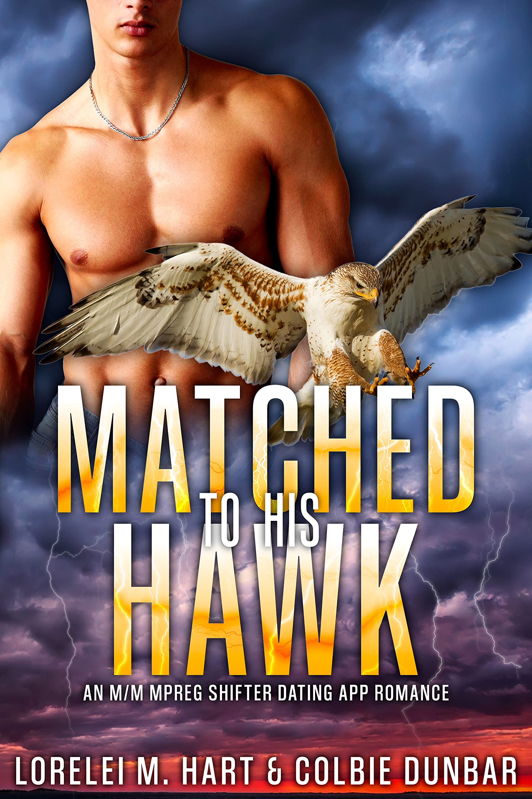 Matched to His Hawk book cover