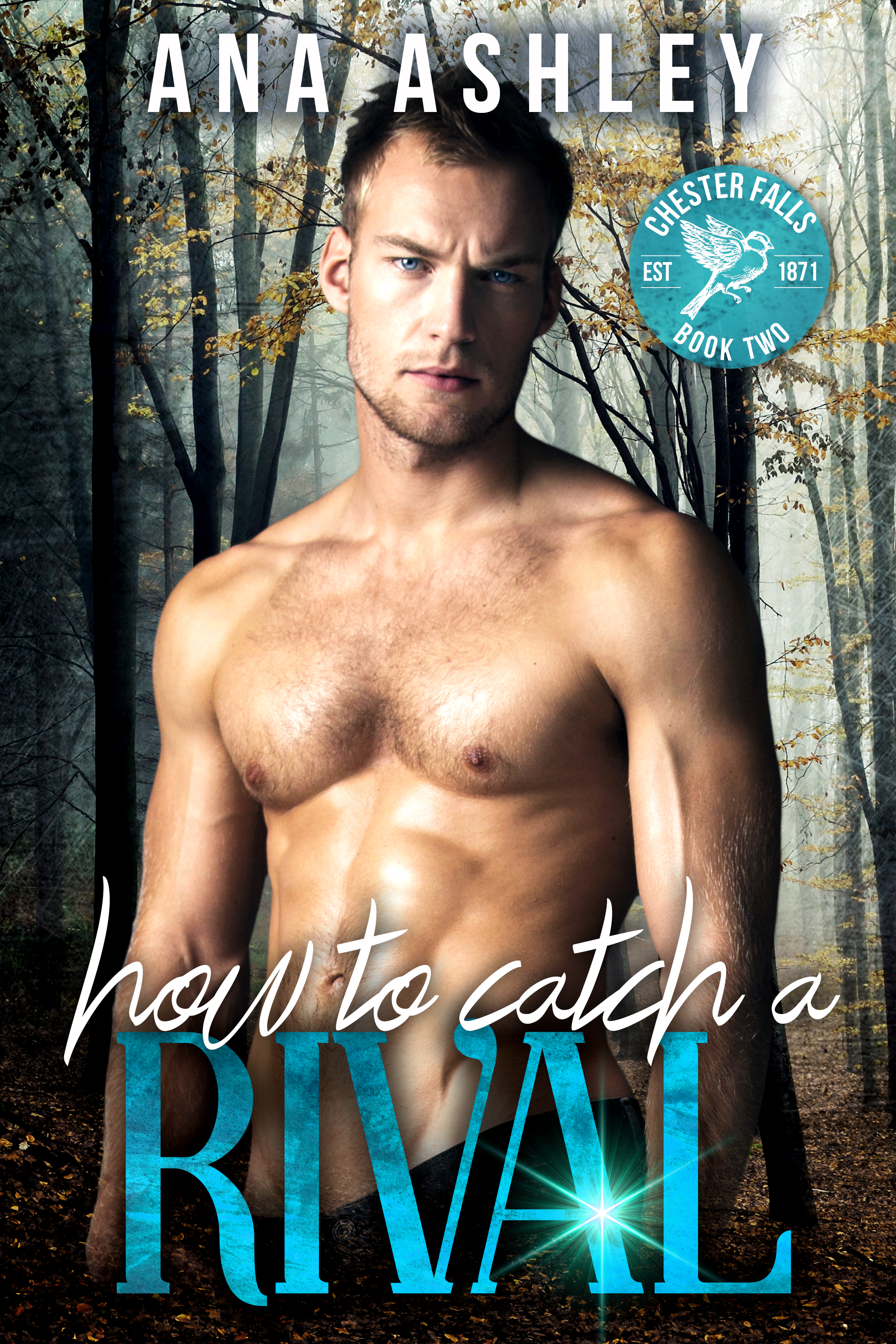 Chester Falls book cover 3