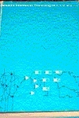 Semantic Information Processing book cover