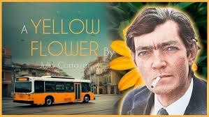 A Yellow Flower book cover