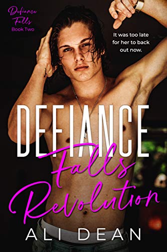 Defiance Falls book cover 2