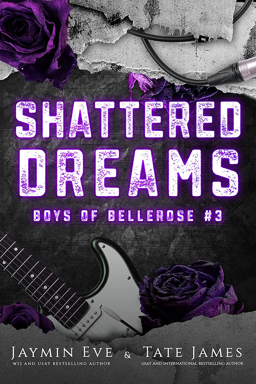 Boys of Bellerose book cover 3