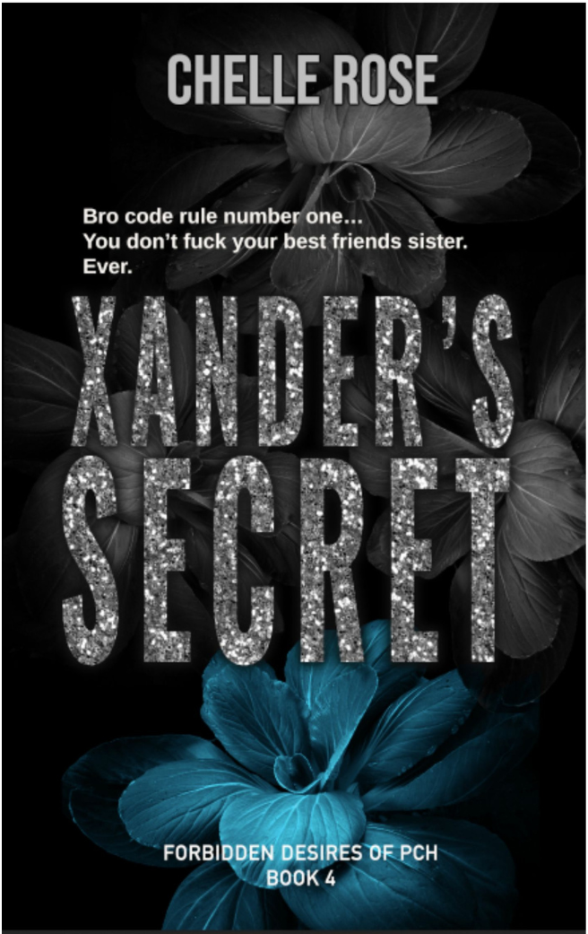 Xander's Secret book cover