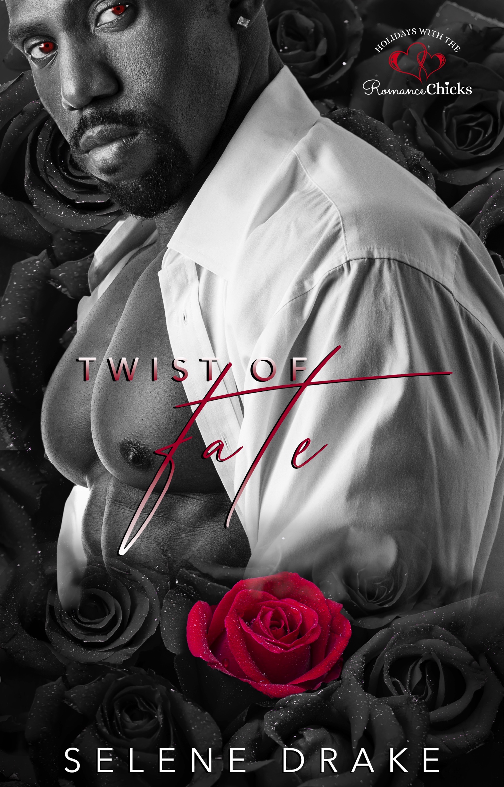 Twist of Fate book cover