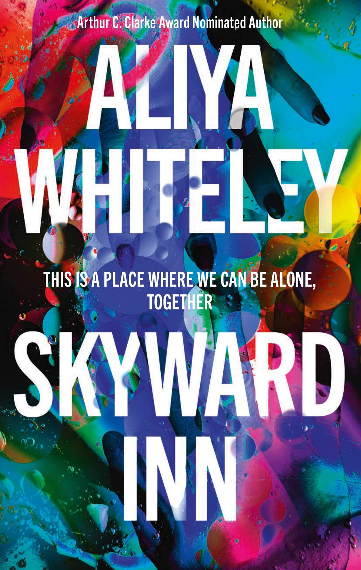 Skyward Inn book cover