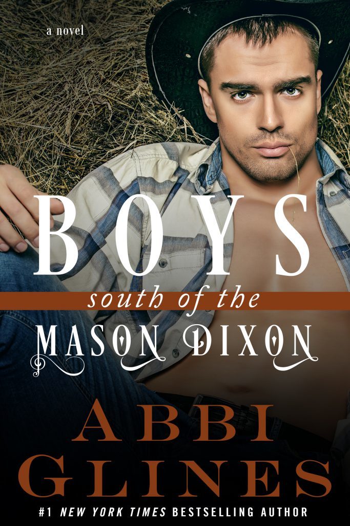 South of the Mason Dixon book cover 1