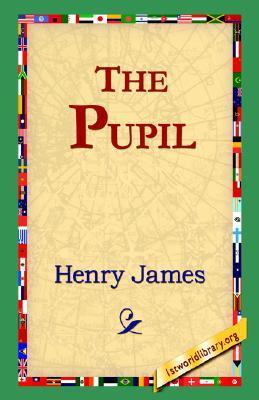The Pupil book cover