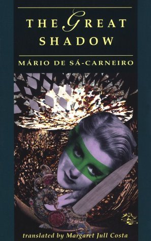 The Great Shadow book cover