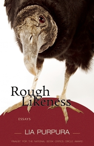 Rough Likeness book cover