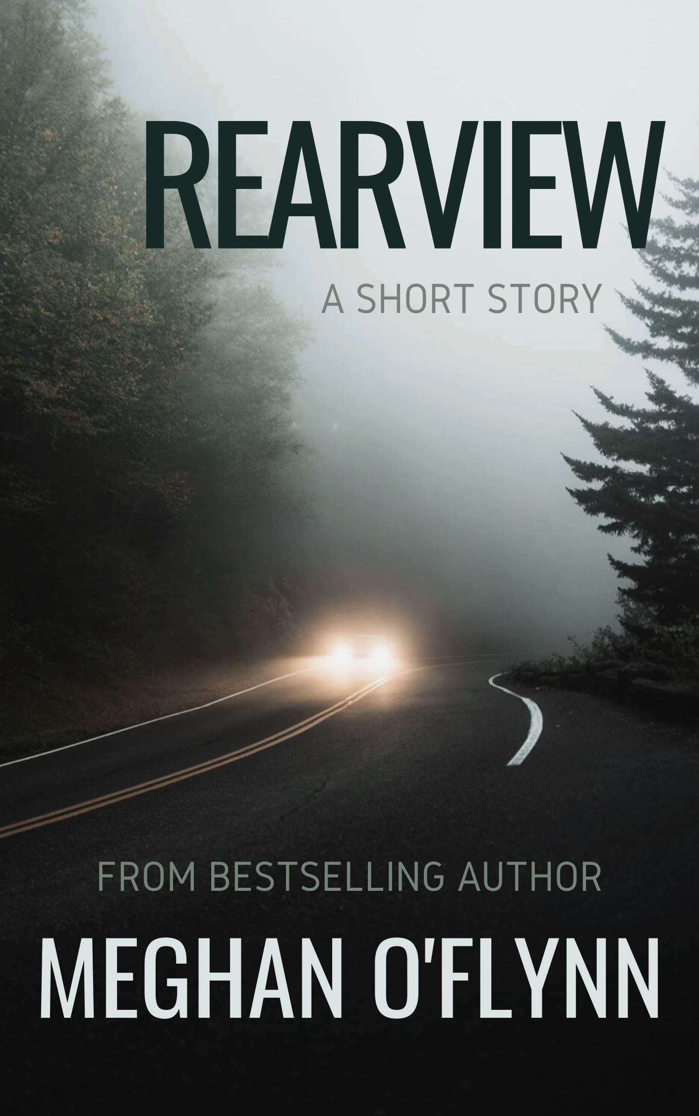 Rearview book cover