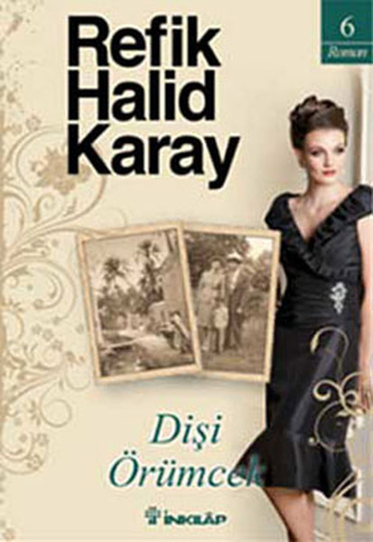 Dişi Örümcek book cover