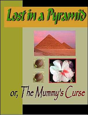 Lost in a Pyramid or the Mummy's Curse book cover