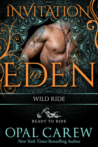 Wild Ride book cover