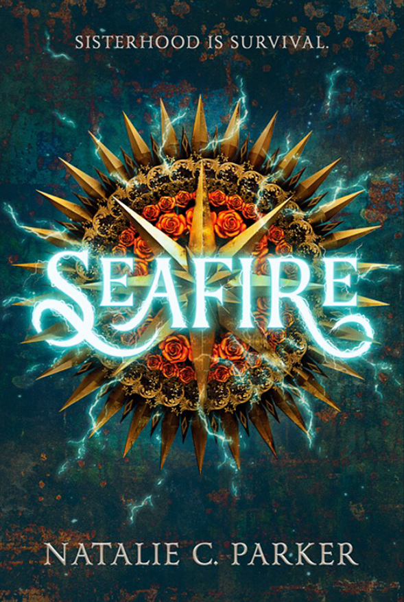Seafire book cover 1