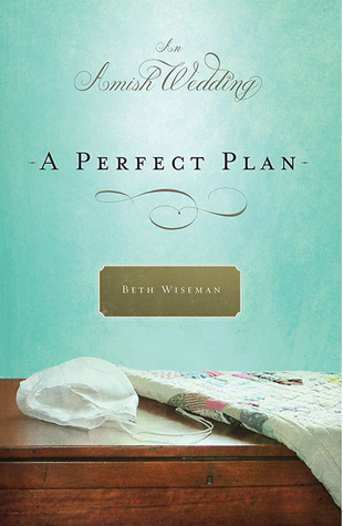 A Perfect Plan book cover