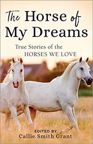 The Horse of My Dreams book cover