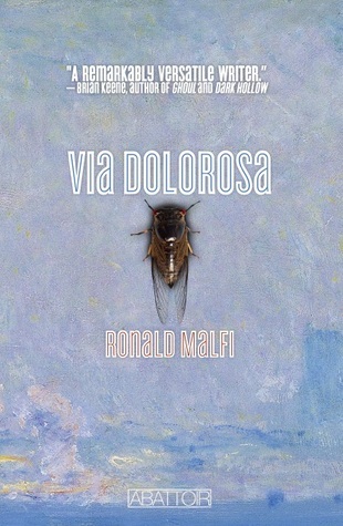 Via Dolorosa book cover