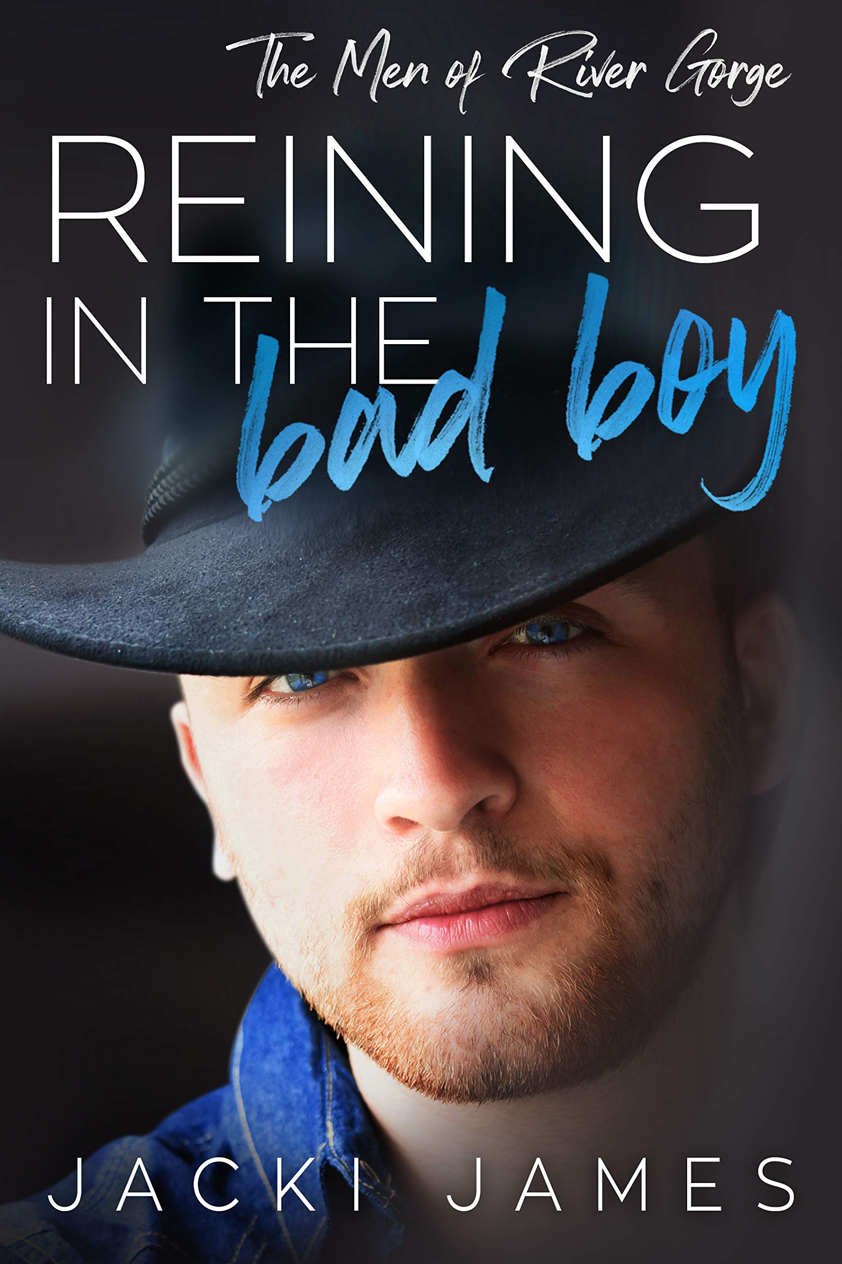 Reining in the Bad Boy book cover