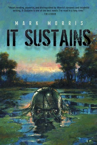 It Sustains book cover