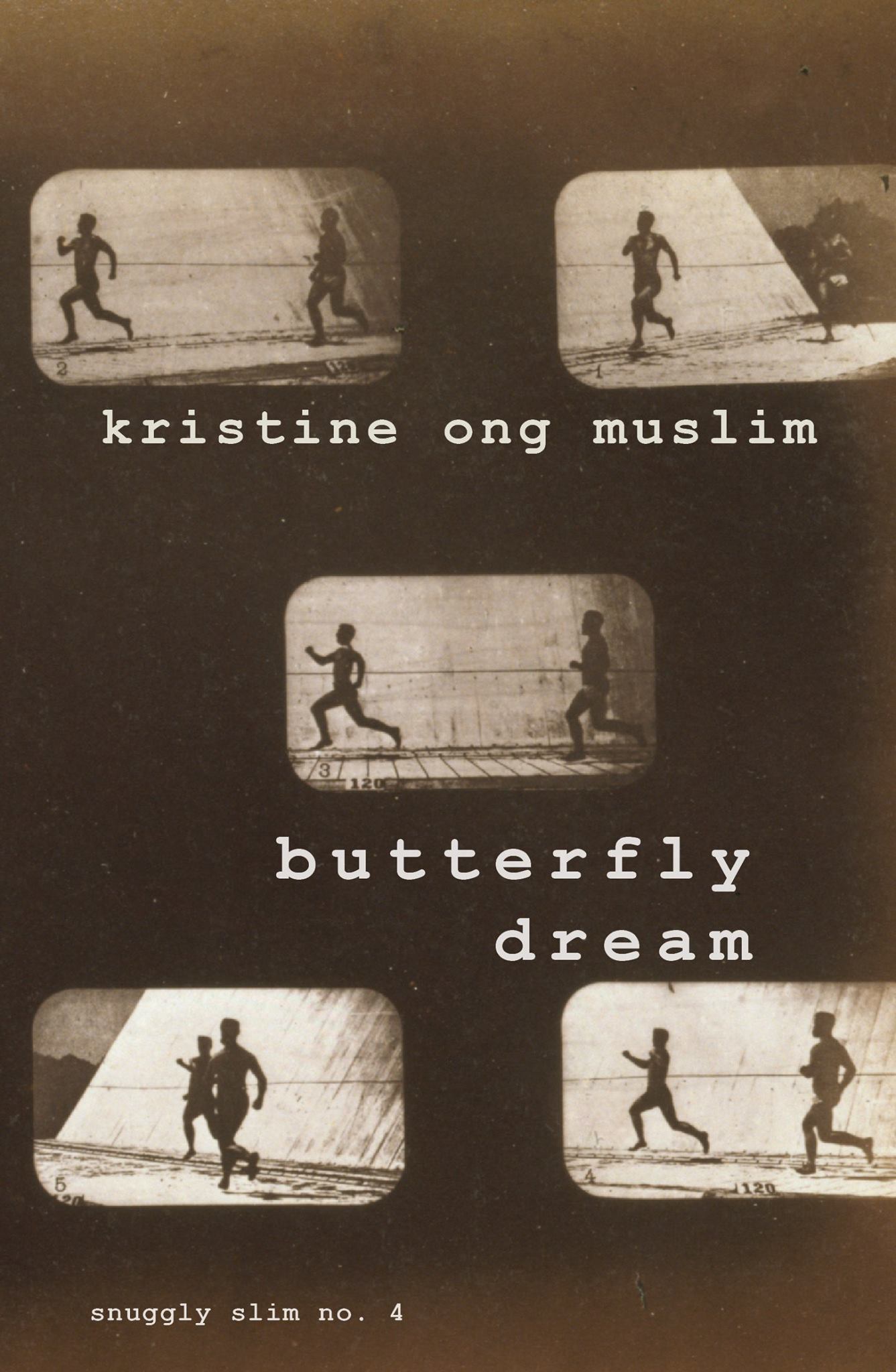 Butterfly Dream book cover