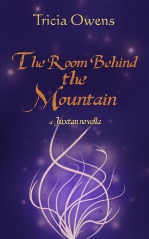 The Room Behind the Mountain book cover