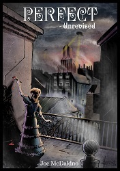 Perfect - Unrevised book cover